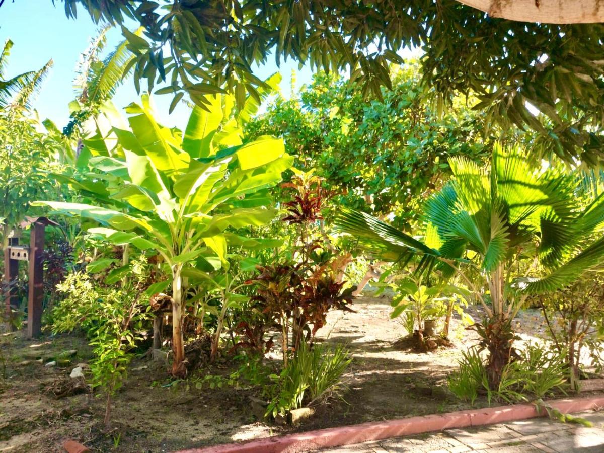 Villa Branca Tropical Brasil Residencial- Taperapuan Porto Seguro Exterior foto